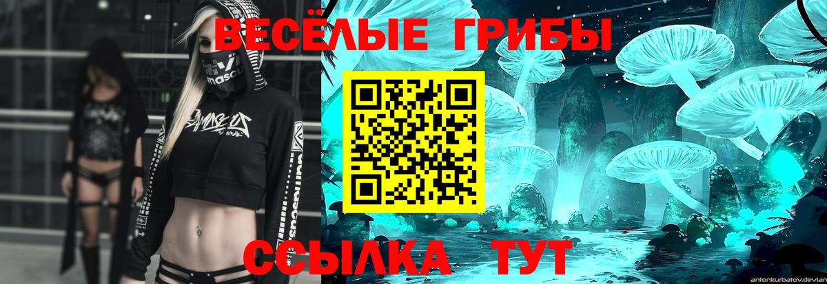 Галлюциногенные грибы GOLDEN TEACHER Отрадный