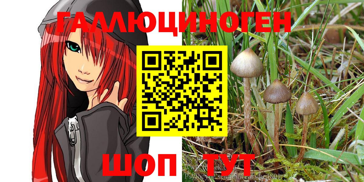 Отрадный  Галлюциногенные грибы MAGIC MUSHROOMS  как найти закладки  Вход с VPN 
